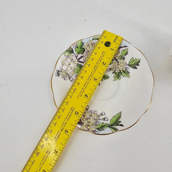 Vintage Royal Albert  Flower of the Month #5 May Hawthorn Teacup & Saucer - Picture 9 of 12